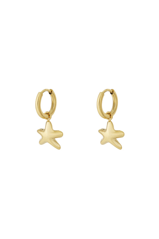 Oorbellen set mini star
